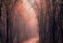 海星体育官网：NBA全明星周末场外：光环背后的真实与反思_勒布朗·詹姆斯_....