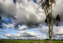 新华全媒+丨北京推行“体育八条” 打造“能出汗的体育课”.