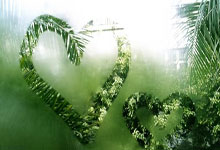 CBA多队抢第六！广东队可能被“送”上积分榜第4，杜锋被迫打广厦.